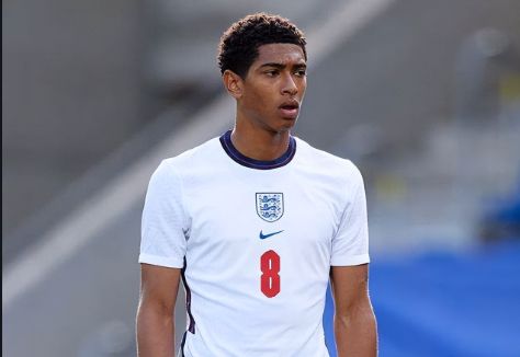 样本显示 样本显示